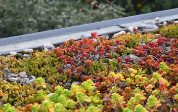 the cost of Hill Of Fearn green roof installation