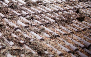 Hill Of Fearn roof cleaning companies