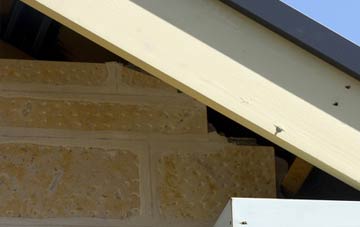 soffit repair Hill Of Fearn